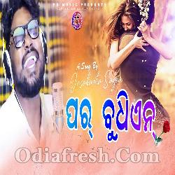 Par Budhian - New Sambalpuri Song By Jasabanta Sagar